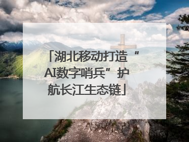湖北移动打造“AI数字哨兵”护航长江生态链