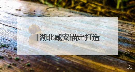 湖北咸安锚定打造“营商环境首善区”助力高质量发展