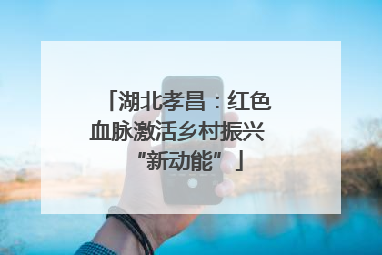 湖北孝昌：红色血脉激活乡村振兴“新动能”