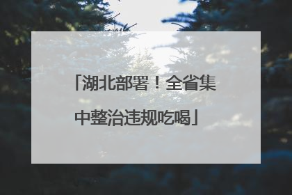 湖北部署！全省集中整治违规吃喝
