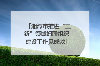 湘潭市推进“三新”领域妇联组织建设工作见成效