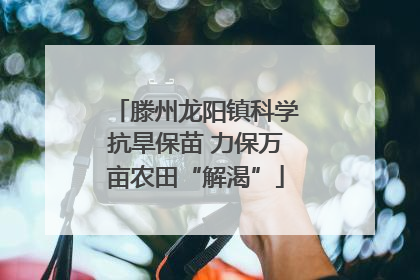 滕州龙阳镇科学抗旱保苗 力保万亩农田“解渴”