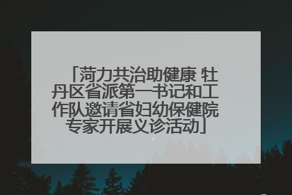 菏力共治助健康 牡丹区省派第一书记和工作队邀请省妇幼保健院专家开展义诊活动
