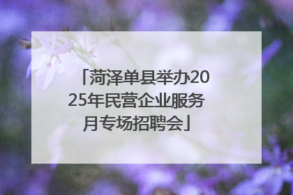 菏泽单县举办2025年民营企业服务月专场招聘会