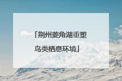 荆州菱角湖重塑鸟类栖息环境