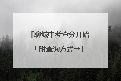 聊城中考查分开始！附查询方式→