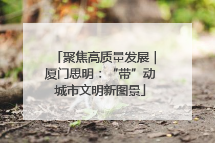 聚焦高质量发展｜厦门思明：“带”动城市文明新图景