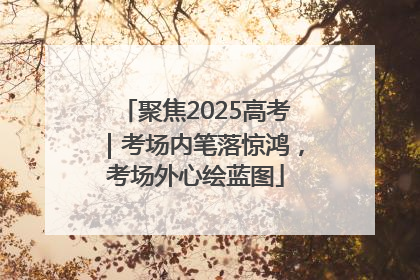 聚焦2025高考｜考场内笔落惊鸿，考场外心绘蓝图