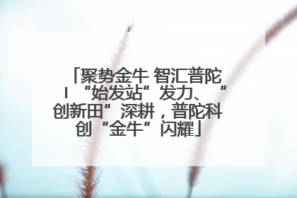 聚势金牛 智汇普陀〡“始发站”发力、“创新田”深耕，普陀科创“金牛”闪耀