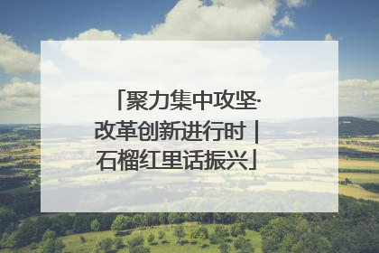 聚力集中攻坚·改革创新进行时｜石榴红里话振兴
