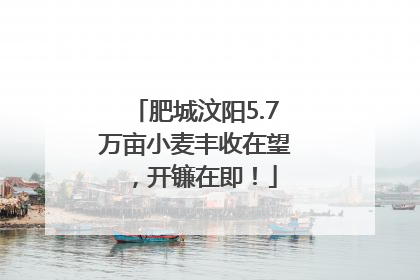 肥城汶阳5.7万亩小麦丰收在望，开镰在即！