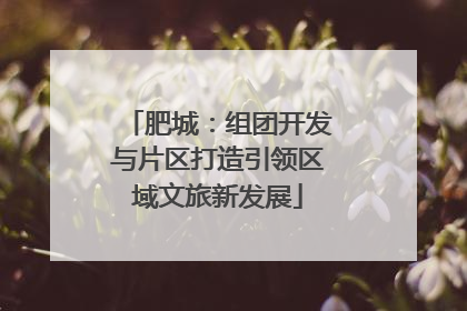 肥城：组团开发与片区打造引领区域文旅新发展
