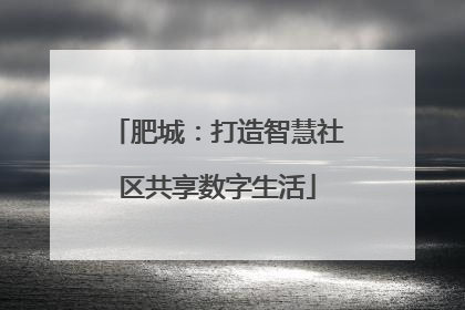 肥城：打造智慧社区共享数字生活