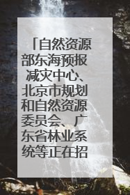 自然资源部东海预报减灾中心、北京市规划和自然资源委员会、广东省林业系统等正在招聘｜招聘信息