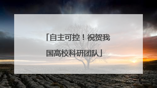 自主可控！祝贺我国高校科研团队