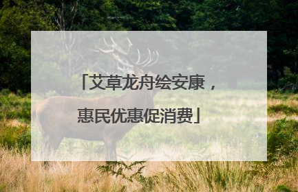 艾草龙舟绘安康，惠民优惠促消费