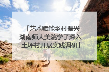 艺术赋能乡村振兴 湖南师大美院学子深入土坪村开展实践调研