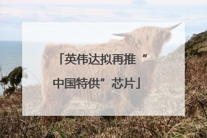 英伟达拟再推“中国特供”芯片