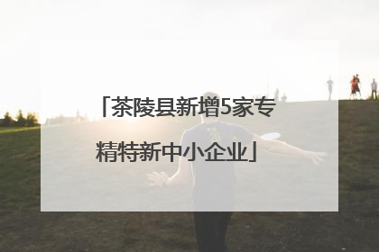 茶陵县新增5家专精特新中小企业
