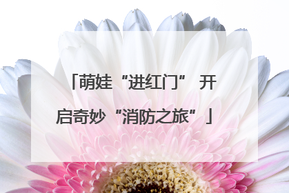 萌娃“进红门” 开启奇妙“消防之旅”