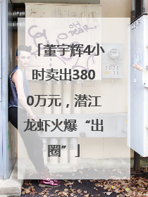 董宇辉4小时卖出3800万元，潜江龙虾火爆“出圈”