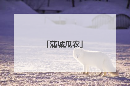蒲城瓜农