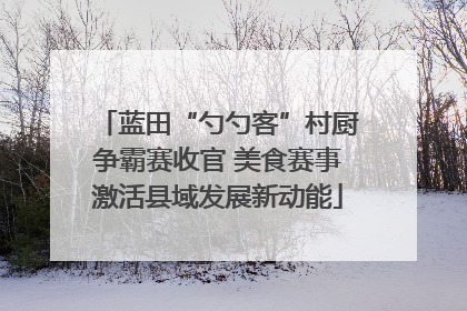 蓝田“勺勺客”村厨争霸赛收官 美食赛事激活县域发展新动能
