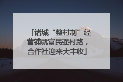 诸城“整村制”经营铺就富民强村路，合作社迎来大丰收