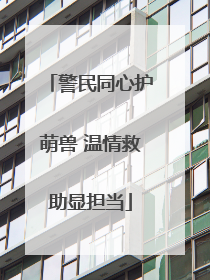警民同心护萌兽 温情救助显担当
