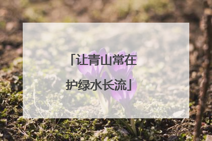 让青山常在 护绿水长流