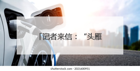 记者来信：“头雁”是这样炼成的