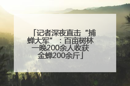 记者深夜直击“捕蝉大军”：百亩树林一晚200余人收获金蝉200余斤