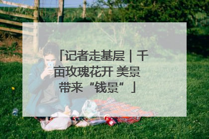 记者走基层｜千亩玫瑰花开 美景带来“钱景”