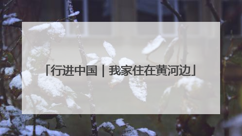 行进中国｜我家住在黄河边