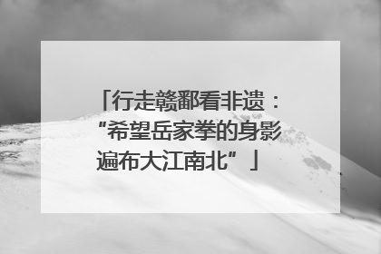 行走赣鄱看非遗：“希望岳家拳的身影遍布大江南北”
