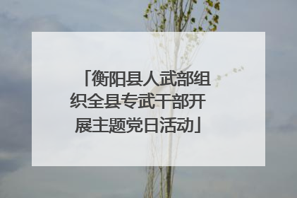 衡阳县人武部组织全县专武干部开展主题党日活动