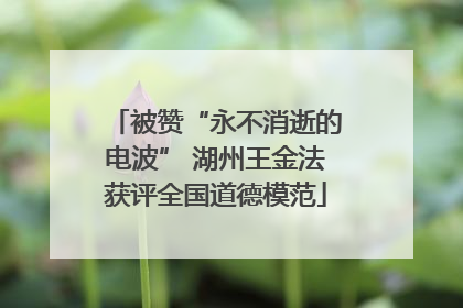 被赞“永不消逝的电波” 湖州王金法获评全国道德模范