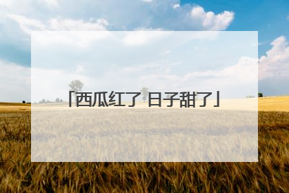 西瓜红了 日子甜了