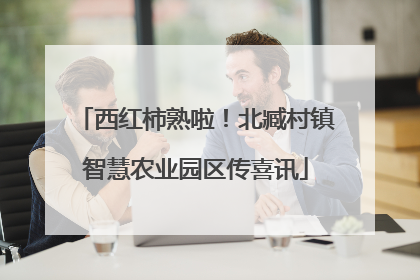 西红柿熟啦！北臧村镇智慧农业园区传喜讯