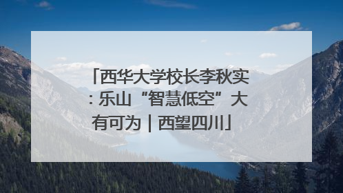 西华大学校长李秋实：乐山“智慧低空”大有可为｜西望四川