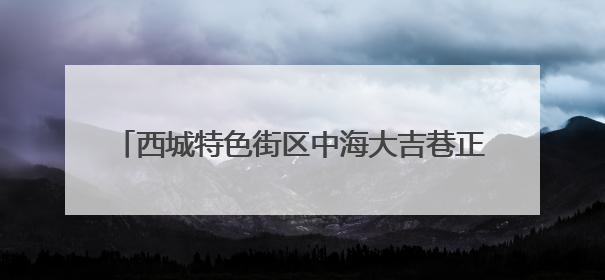 西城特色街区中海大吉巷正式开业，打卡市民真不少