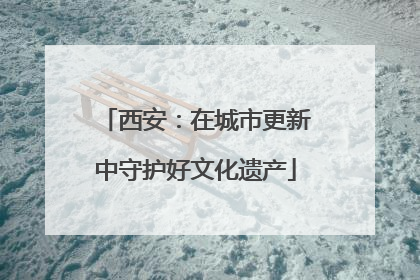 西安：在城市更新中守护好文化遗产