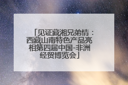 见证藏湘兄弟情：西藏山南特色产品亮相第四届中国-非洲经贸博览会