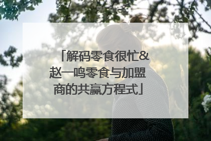 解码零食很忙&赵一鸣零食与加盟商的共赢方程式