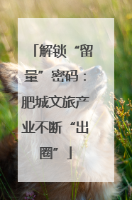 解锁“留量”密码：肥城文旅产业不断“出圈”