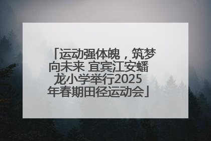 运动强体魄，筑梦向未来 宜宾江安蟠龙小学举行2025年春期田径运动会