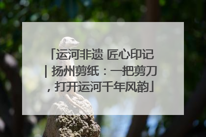 运河非遗 匠心印记｜扬州剪纸：一把剪刀，打开运河千年风韵