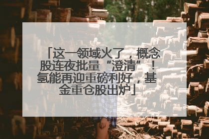 这一领域火了，概念股连夜批量“澄清”！氢能再迎重磅利好，基金重仓股出炉