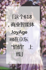这个618，商业智能体JoyAgent在京东 “悄悄” 上线