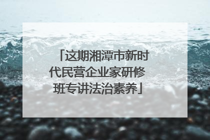 这期湘潭市新时代民营企业家研修班专讲法治素养